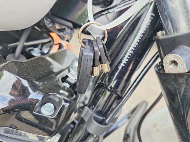 2024 Harley-Davidson Flhx