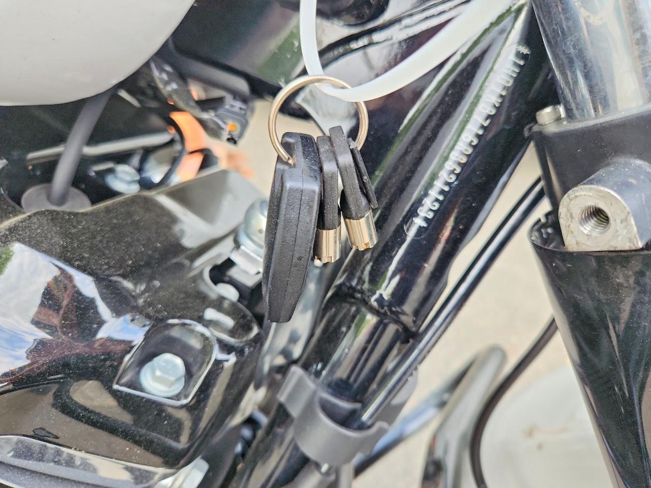 2024 Harley-Davidson Flhx