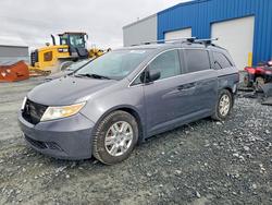 Honda Vehiculos salvage en venta: 2013 Honda Odyssey lx