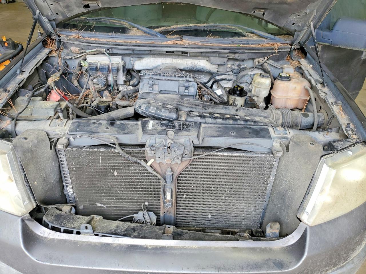 2007 Ford F-150