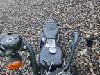 2021 Harley-Davidson XL1200 NS
