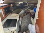 2004 Seadoo 2004 SEA RAY 260 Sundancer-Boat