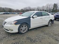 Lexus salvage cars for sale: 2011 Lexus Es 350
