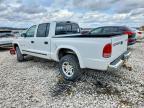 2001 Dodge Dakota Quattro