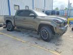 2025 Toyota Tacoma TRD Sport HV