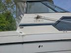 1999 Bayliner Bayliner