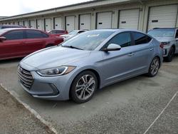 2017 Hyundai Elantra Limited for sale in Louisville, KY