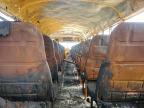2026 Blub School Bus