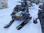 2026 Skidoo Skandic LE 600 EFI RER
