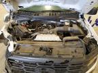 2024 Ford F150 XL