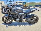 2023 Triumph Trident 660