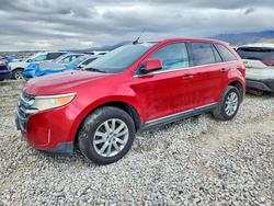 Ford Edge Limited salvage cars for sale: 2011 Ford Edge Limited