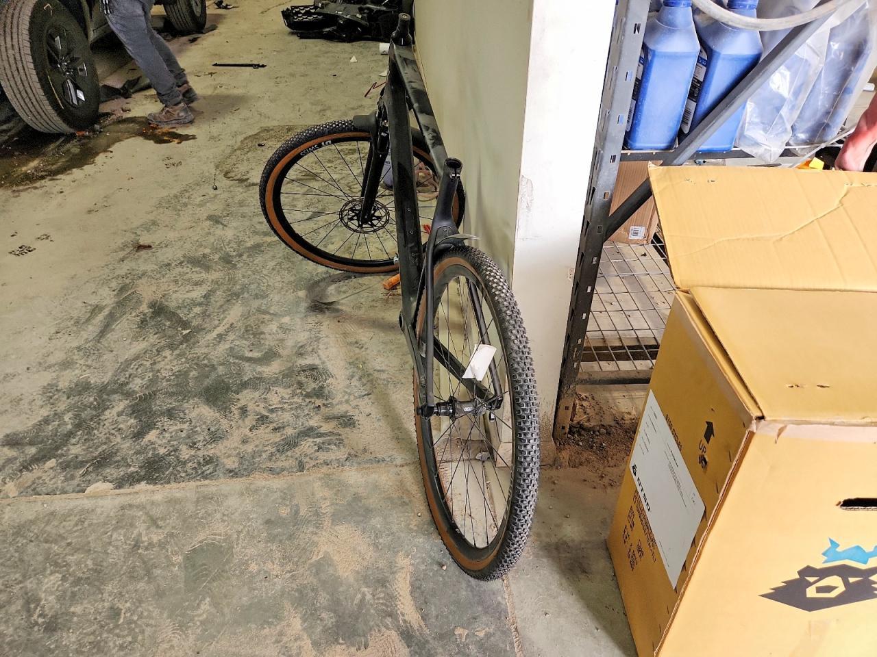 2025 Bike RIDE1UP