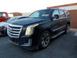 Cadillac salvage cars for sale: 2016 Cadillac Escalade Luxury