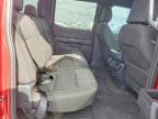2024 Ford F150 STX