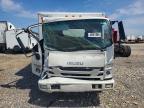 2024 Isuzu NPR HD