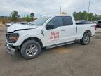 2024 Ford F150 XLT