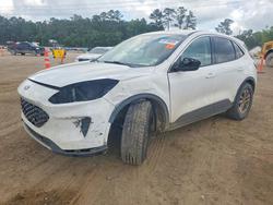 Ford salvage cars for sale: 2022 Ford Escape se
