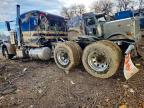2019 Peterbilt 389 Semi Truck