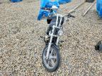2024 Harley-Davidson Fxst