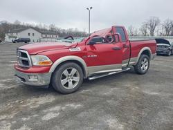 Salvage trucks for sale at York Haven, PA auction: 2009 Dodge RAM 1500