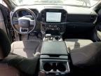 2024 Ford F150 XLT