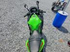 2024 Kawasaki EX650 P