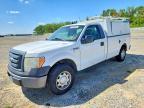 2010 Ford F150