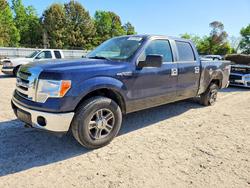 Salvage trucks for sale at Hampton, VA auction: 2009 Ford F150 Supercrew