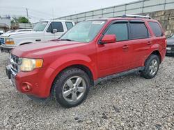 Ford Escape salvage cars for sale: 2012 Ford Escape Limited