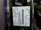 2025 Ford F150 STX