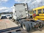2019 Freightliner Cascadia 126 Semi Truck