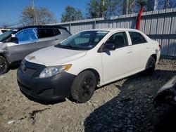 2010 Toyota Corolla Base en venta en Windsor, NJ