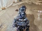 2003 Honda CBR1100 XX