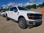 2024 Ford F150 XLT