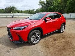 Lexus salvage cars for sale: 2025 Lexus Nx 350 Premium
