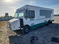 Salvage trucks for sale at Earlington, KY auction: 2009 Workhorse Custom Chassis W42 Delivery Truck