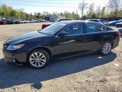 Lexus Vehiculos salvage en venta: 2013 Lexus Es 300h