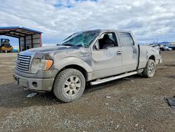 Salvage trucks for sale at Helena, MT auction: 2010 Ford F150 Supercrew
