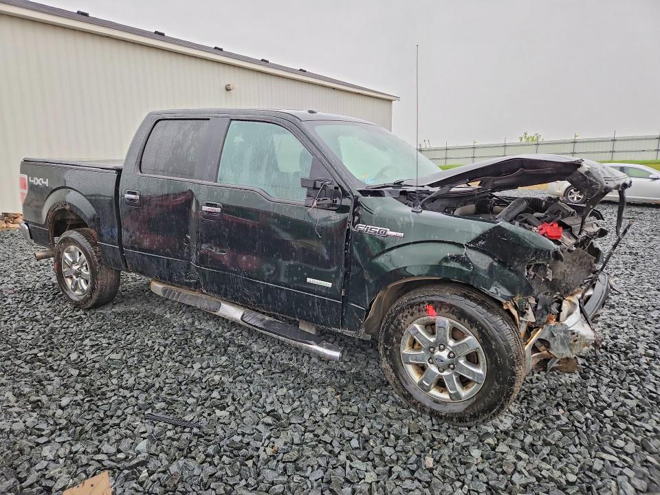 2013 Ford 1/2 TON