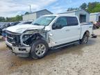 2024 Ford F150 XLT