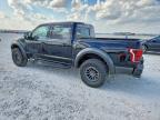 2019 Ford F150 Raptor