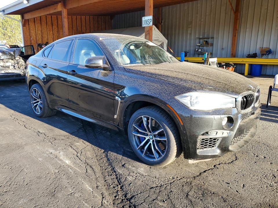 2015 BMW X6 m