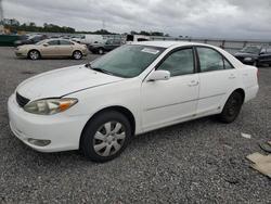 2004 Toyota Camry xle for sale in Thonotosassa, FL