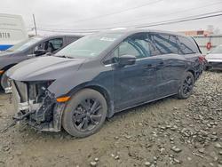 2023 Honda Odyssey Sport-l for sale in Windsor, NJ