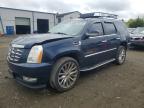 2007 Cadillac Escalade Luxury