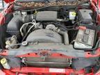 2010 Dodge Dakota SXT