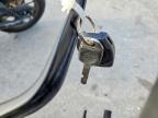 2023 Harley-Davidson RH1250 S