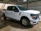 2025 Ford F150 XLT