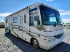 2001 Damon 2001 Challenger RV